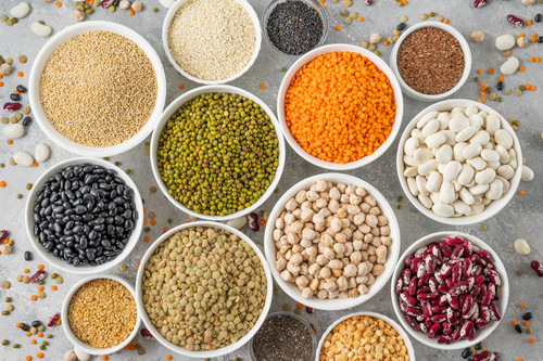 dried seeds and grains